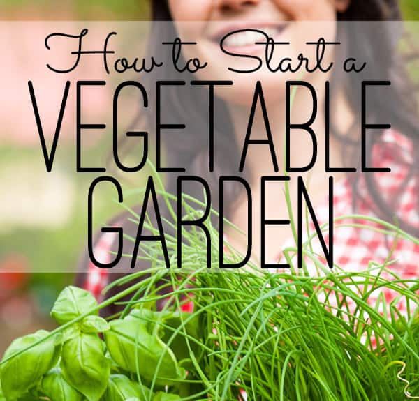 The Seasoned HomemakerHow to Start a Vegetable Garden