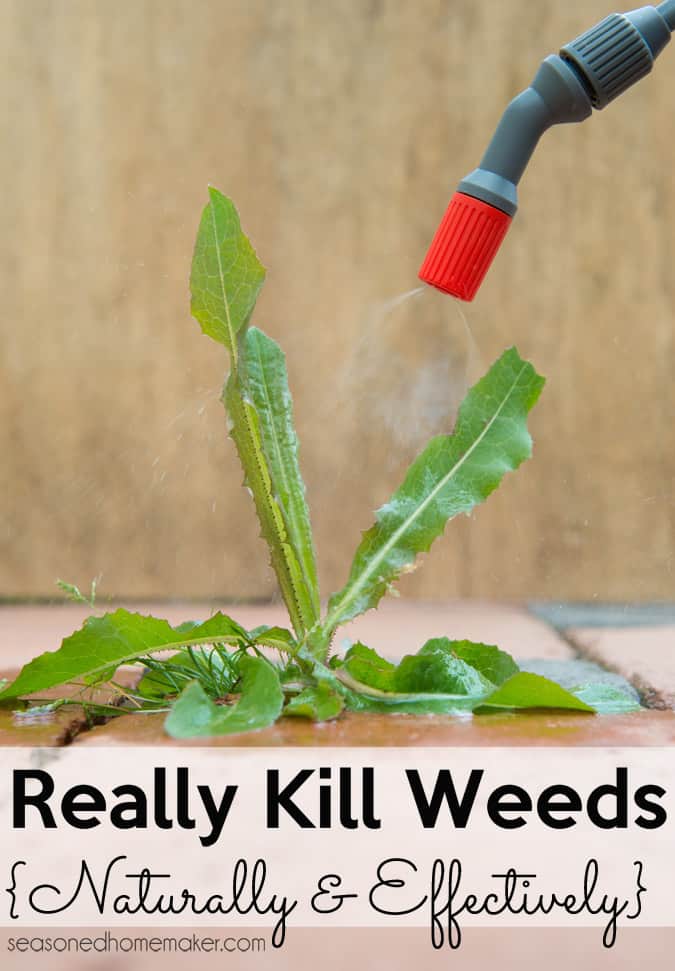 Vinegar Weed Killer,Drop Side Crib Conversion Kit