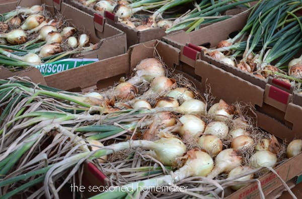 How to Grow and Store Onions