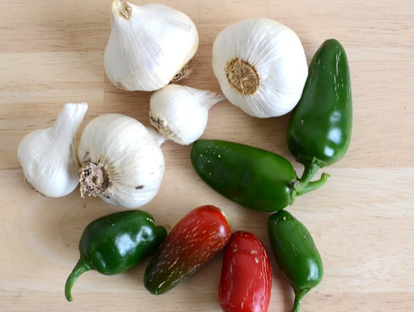 Are you looking for a natural and organic pesticide to get rid of garden insects? Garlic Pepper Tea a safe and natural way to kill insects in your garden. This natural pesticide recipe works quickly and is safe for pets and people.