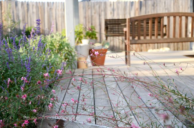 Most people never begin a new garden landscape because they don't know where to start. I have several Gardening Landscape Tips for Small Yards that will teach you the design elements that will make your small yard beautiful. #landscaping #landscapingfrontyard #diylandscaping #landscapingonabudget | seasonedhomemaker.com